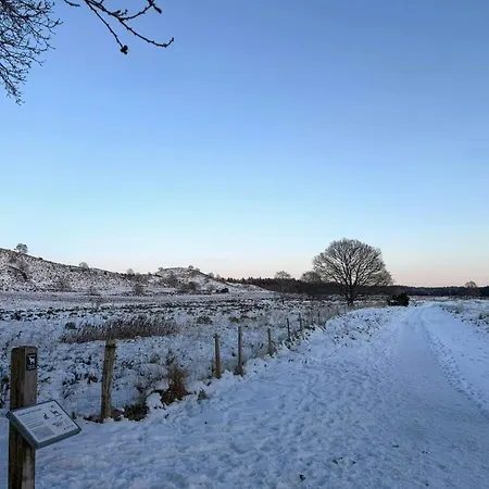 1940s Near Lakes * Silkeborg