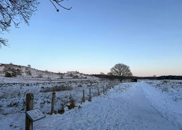 1940s Near Lakes * Silkeborg